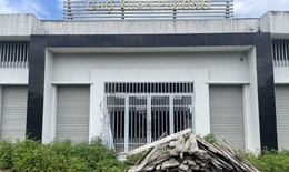 Hà Nội: Chợ dân sinh Xuân Phương bỏ hoang gần 10 năm, cỏ mọc um tùm