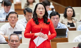 Mức giảm trừ gia cảnh 'giậm chân tại chỗ' suốt nhiều năm, ĐBQH đề xuất sớm thay đổi