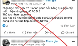 C&#244;ng an Nghệ An bắt đối tượng lừa đảo cấp đổi giấy ph&#233;p l&#225;i xe qua mạng