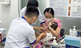 H&#224; Nội: Số ca mắc ho g&#224; chủ yếu ở trẻ chưa được ti&#234;m vaccine