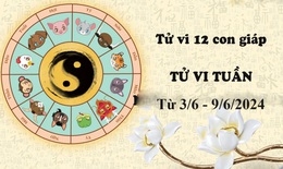 Tử vi tuần mới 12 con giáp từ 3/6 - 9/6/2024: Mão vô cùng may mắn, Thìn xen lẫn hung cát
