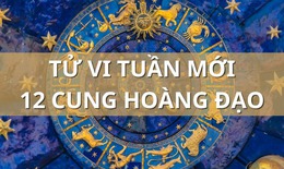 Tử vi tuần mới 12 cung hoàng đạo từ 6/5 - 12/5/2024: Bảo Bình nóng nảy, Song Tử bình yên