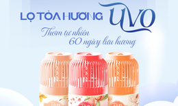 Bí quyết giữ cho căn nhà luôn ngát hương hoa quả tự nhiên