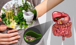 Sỏi mật: Nguy&#234;n nh&#226;n, triệu chứng, điều trị v&#224; c&#225;ch ph&#242;ng ngừa