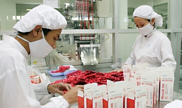 Đề xuất những ưu tiên mới nào để phát triển công nghiệp dược Việt Nam?