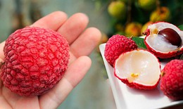 7 trường hợp kh&#244;ng n&#234;n ăn nhiều quả vải