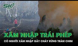 Phát hiện có người xâm nhập trái phép gây ra vụ cháy lớn ở Vườn quốc gia Tràm Chim