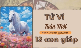 Tử vi tuần mới 12 con giáp từ 17/6 - 23/6/2024: Mão tích cực, Tý thăng trầm
