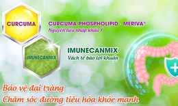 Giải pháp thảo dược hỗ trợ cải thiện các triệu chứng viêm đại tràng, hội chứng ruột kích thích