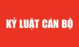 Bộ Chính trị, Ban Bí thư thi hành kỷ luật đối với tổ chức đảng, đảng viên có vi phạm, khuyết điểm