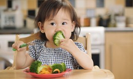 DHA thuần chay - Lựa chọn mới của mẹ để chăm s&#243;c sức khỏe b&#233; y&#234;u