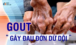 Cách giảm đau gout nhanh từ thảo dược