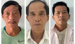 Triệt ph&#225; đường d&#226;y c&#225; độ b&#243;ng đ&#225; hơn 1.000 tỷ đồng ở Đ&#224; Nẵng
