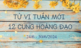 Tử vi tuần mới 12 cung hoàng đạo từ 24/6 - 30/6/2024: Song Tử, Bảo Bình tài chính tích cực