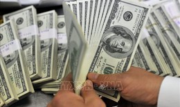 Tỷ gi&#225; đ&#227; c&#243; xu hướng hạ nhiệt