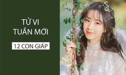 Tử vi tuần mới 12 con giáp từ 24/6 - 30/6/2024: Mùi may mắn, Hợi vừa hung vừa cát