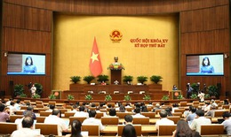 Hôm nay, Quốc hội thảo luận ở hội trường về dự án Luật sửa đổi, bổ sung một số điều của Luật Dược