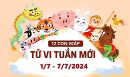 Tử vi tuần mới 12 con giáp từ 1/7 - 7/7/2024: Tý trắc trở, Mùi tốt lành