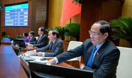 Quốc hội giám sát tối cao việc thực hiện chính sách, pháp luật về bảo vệ môi trường