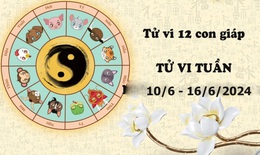 Tử vi tuần mới 12 con giáp từ 10/6 - 16/6/2024: Thìn khó khăn, Tuất tài lộc cải thiện