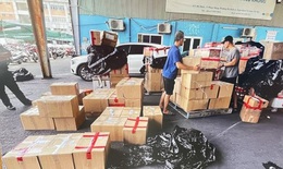 Thu giữ hàng trăm kg ma túy từ Đức về Việt Nam qua đường hàng không