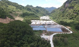 Người dân khốn khổ khi sống gần trại lợn 'khủng'