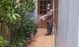 Hải Phòng xử lý đồng loạt các ổ dịch sốt xuất huyết Dengue