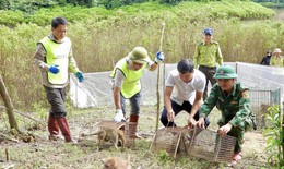 Thả 36 c&#225; thể động vật hoang d&#227; qu&#253; hiếm về m&#244;i trường tự nhi&#234;n