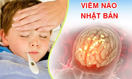 Đắk Lắk ghi nhận 3 trường hợp mắc Vi&#234;m n&#227;o Nhật Bản