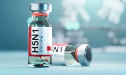 WHO thúc đẩy phát triển vaccine mRNA ngừa cúm gia cầm