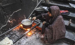 Tổng giám đốc WHO cảnh báo nguy cơ bùng phát dịch bệnh bại liệt ở Dải Gaza
