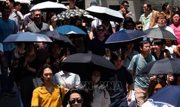 Nắng nóng gay gắt bao trùm Nhật Bản, lần đầu vượt 40 độ C trong mùa hè này