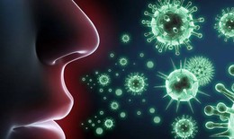 Bộ Y tế chỉ đạo 'nóng' phòng chống dịch bạch hầu tại Thanh Hoá