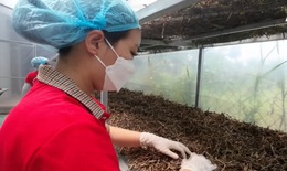 Triển khai nhiều giải pháp thực hiện chiến lược quốc gia phát triển ngành dược trong giai đoạn mới tại Tiền Giang