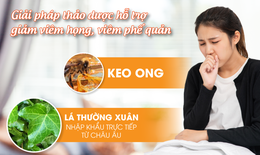 Giải ph&#225;p từ l&#225; Thường xu&#226;n kết hợp Keo ong hỗ trợ giảm vi&#234;m họng, vi&#234;m phế quản