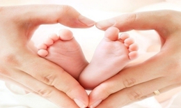 Từng bước th&#237; điểm tăng tr&#225;ch nhiệm đ&#243;ng g&#243;p x&#227; hội với người kh&#244;ng muốn hoặc kết h&#244;n qu&#225; muộn