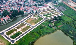 Đấu giá đất cao bất thường, Thủ tướng chỉ đạo ngăn chặn, xử lý nếu phát hiện trục lợi, gây nhiễu loạn