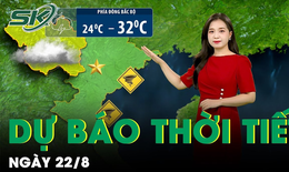 Bản tin dự b&#225;o thời tiết mới nhất h&#244;m nay ng&#224;y 22/8