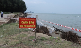 Thanh Hoá công bố tình huống khẩn cấp sạt lở, xâm thực bờ biển