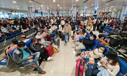 Khách quốc tế qua cảng hàng không tăng mạnh