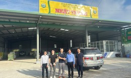 Khoai lang Nhật Thành – Đơn vị uy tín về sản xuất và xuất khẩu khoai lang tại Việt Nam