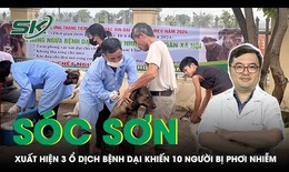 Xuất hiện 3 ổ dịch bệnh dại ở S&#243;c Sơn khiến 10 người bị phơi nhiễm