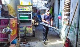 Hải Phòng yêu cầu nhanh chóng khống chế, kiểm soát dịch sốt xuất huyết trên địa bàn