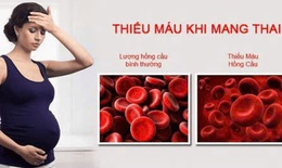 C&#226;u hỏi thường gặp về bệnh thiếu m&#225;u