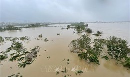 Mực nước lũ tr&#234;n nhiều s&#244;ng đ&#227; xuống dưới mức lũ lịch sử