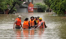 T&#236;nh người trong gi&#244;ng b&#227;o