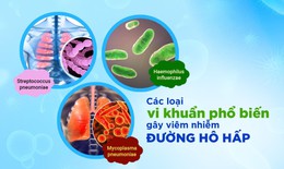 Xu hướng t&#236;m đến dược liệu tự nhi&#234;n trong hỗ trợ vi&#234;m nhiễm đường h&#244; hấp