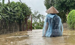 Nghi&#234;n cứu phương &#225;n giảm lũ từ H&#242;a B&#236;nh để chống ngập cho H&#224; Nội