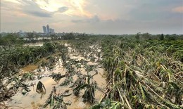 Ngập úng ở đồng bằng sông Hồng sẽ dần được giải quyết trong 2 - 3 ngày tới