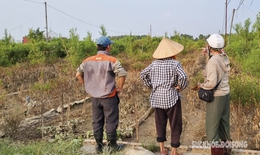 H&#224;ng chục ng&#224;n c&#226;y đ&#224;o Tết chỉ c&#242;n l&#224; b&#249;n đất sau trận lũ lịch sử